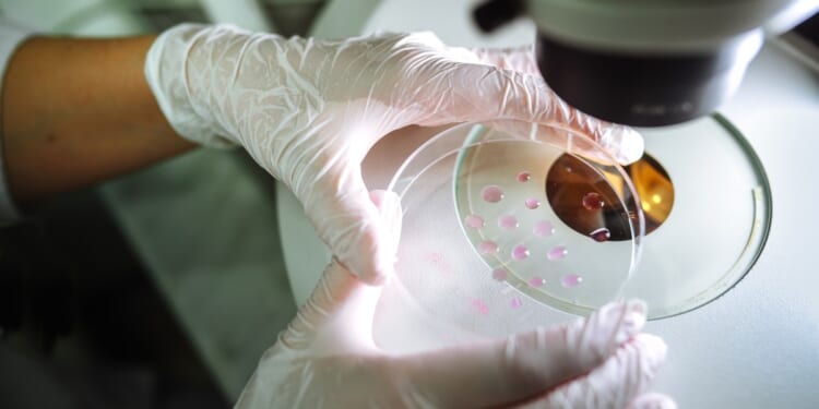 So What If the Bible Doesn’t Mention Embryo Screening?