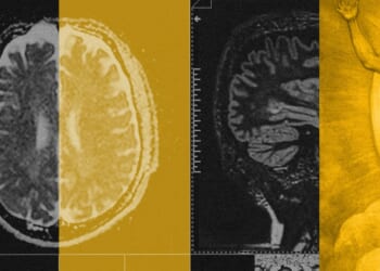 Studying Pain ‘Causes Me to Pine for Eternity’