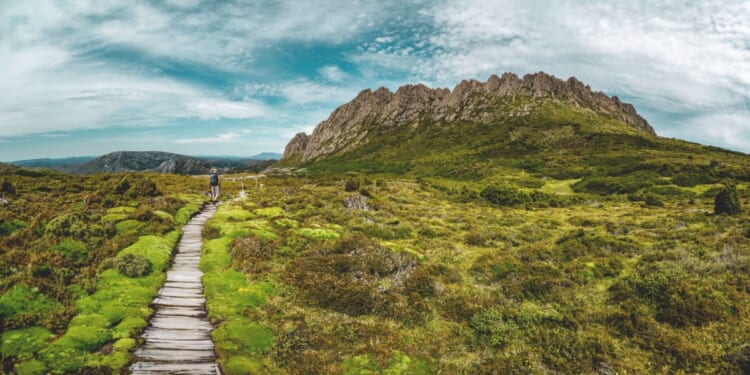 A boardwalk amid moss and a cloudy sky.