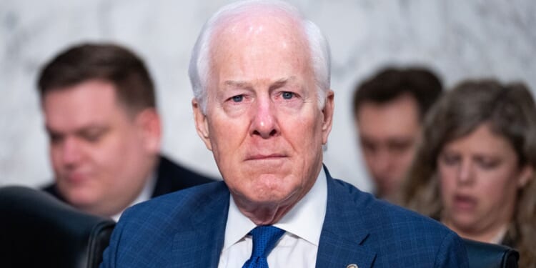 Texas Poll Shows Tough Primary for Cornyn and Crockett