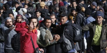 The Netherlands Housed Migrant Rapists With Students. Guess How That Turned Out. – PJ Media