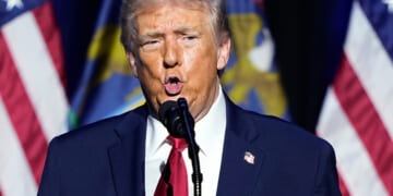 President Donald Trump described his administration's health care plan as one in which "the government is going to pay the money directly to you ... and then you take the money and buy your own health care."