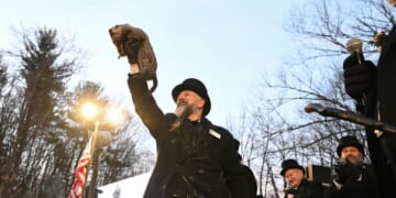 Punxsutawney Phil predicts six more weeks of winter after seeing his shadow
