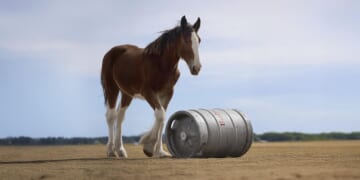 Budweiser, Uber Eats among companies already releasing Super Bowl ads