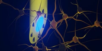 New brain implant can shine light, record signals and deliver drugs all at once