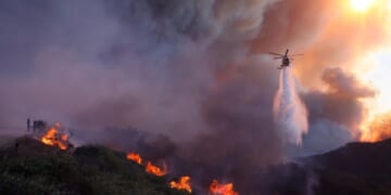 LA firefighter testifies he warned brush fire wasn't out before massive blaze ignited