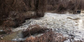 D.C. environmental officials to start testing Potomac and Anacostia rivers for E. coli daily