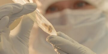 A Perfect Encapsulation of Why Nobody Trusts the Establishment Anymore – HotAir