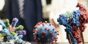 Chinese Biolab in Vegas Was Attached to Airbnb, Multiple Renters Sickened – HotAir