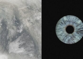 I Failed to Mature as an Artist—Until I Learned to See