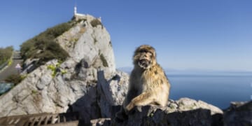 Starmer Sold Out Gibraltar, Too – HotAir