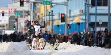 Downtown Anchorage braces for a canine takeover as the Iditarod’s 54th run begins