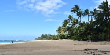 Ancient skeletal remains found on grounds of college prep school in Hawaii