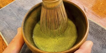 New herbal allergy remedy? Matcha helps dial down the sneeze reflex in mouse study