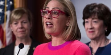 Former Sen. Kyrsten Sinema fesses up to romance with married bodyguard while in office