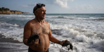 Gulf of Mexico oil spill spread hundreds of miles, killed wildlife and polluted Mexican reserves