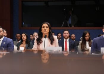 4 Big Takeaways from Tulsi Gabbard's Testimony