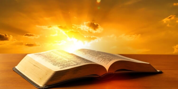 A grieving mother found a comforting surprise in her late daughter's Bible.