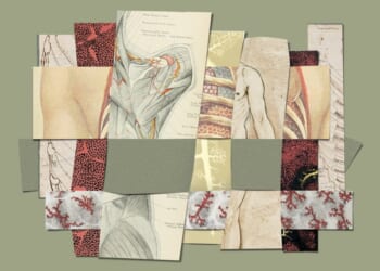 Communion, Sex, and God’s Created Order