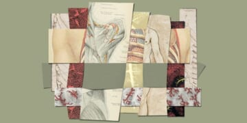 Communion, Sex, and God’s Created Order