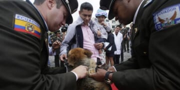 Daniel Noboa Unleashes the Beast and We're All Better Off For It – PJ Media