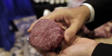 Evil Meat – HotAir