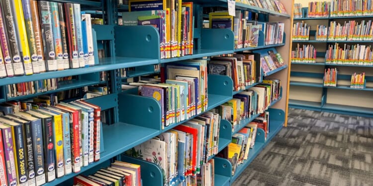 A public school library inside of a school.