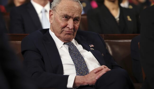 Report Reveals That Democrats Are Plotting Against Chuck Schumer – PJ Media
