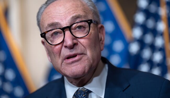 So Democrats Are Now Going After Chuck Schumer? Really? – PJ Media