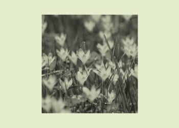 Stop Being Anxious About Your Anxiety