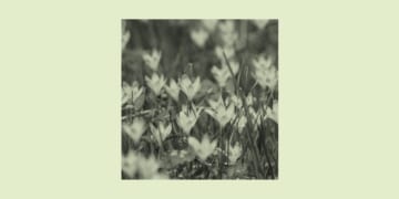 Stop Being Anxious About Your Anxiety