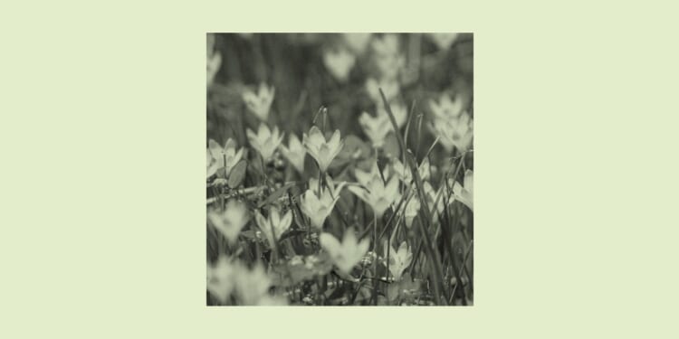 Stop Being Anxious About Your Anxiety