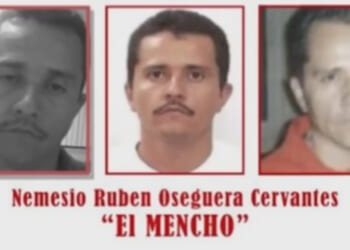 Target Criminal Cartels – American Free Press