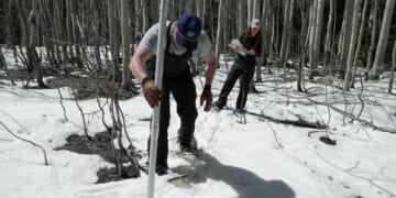Record low Colorado mountain snow won’t bode well for water in the drought-stricken U.S. West