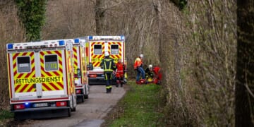 3 killed as high winds topple a tree on an Easter egg hunt in Germany