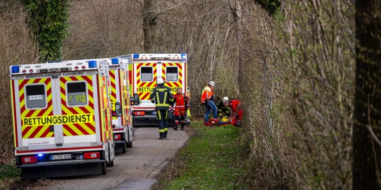 3 killed as high winds topple a tree on an Easter egg hunt in Germany
