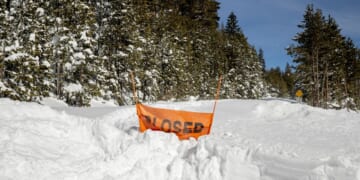 Analysis by avalanche experts questions decisions by guides on deadly California backcountry trip