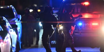 RNC chairman blames ‘radicalized left’ for White House correspondents’ dinner shooting