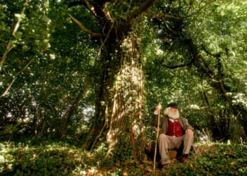 An Arthurian Epic for the Dark Age of the Bright Screen