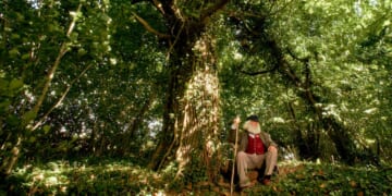 An Arthurian Epic for the Dark Age of the Bright Screen