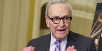Conservatives gleefully roasted Senate Minority Leader Sen. Chuck Schumer, a New York Democrat, for claiming that the disgraced Southern Poverty Law Center defends democracy.