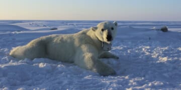 Follow the Science, Except When the IPCC’s Own Climate Data Doesn’t Cooperate – PJ Media