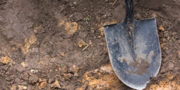 A close-up of a shovel in the dirt.