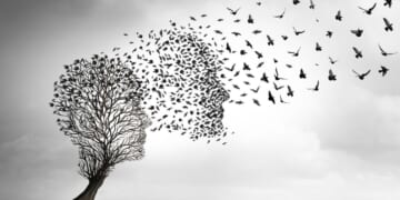 There is absolutely nothing preventing each of us from beginning to sow those little seeds that will grow and be harvested as peace and comfort after we're long gone.