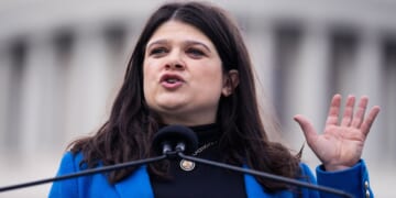 Michigan Senate Candidate Stevens Booed at Convention