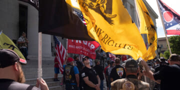 Gun rights activists stand with multiple flags at the Ohio Capitol, with the yellow 'Don't Tread on Me' flag prominently displayed.