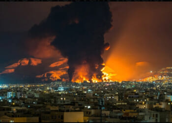 Shock and Aww Shucks