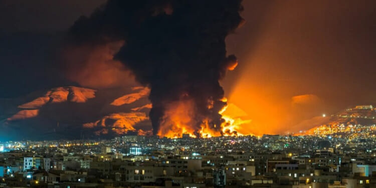 Shock and Aww Shucks