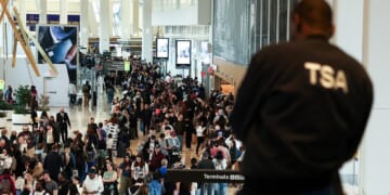 The TSA Should Be Privatized