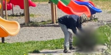 A European news outlet reported that a Nigerian immigrant killed a cat and attempted to cook it at a playground in Italy.